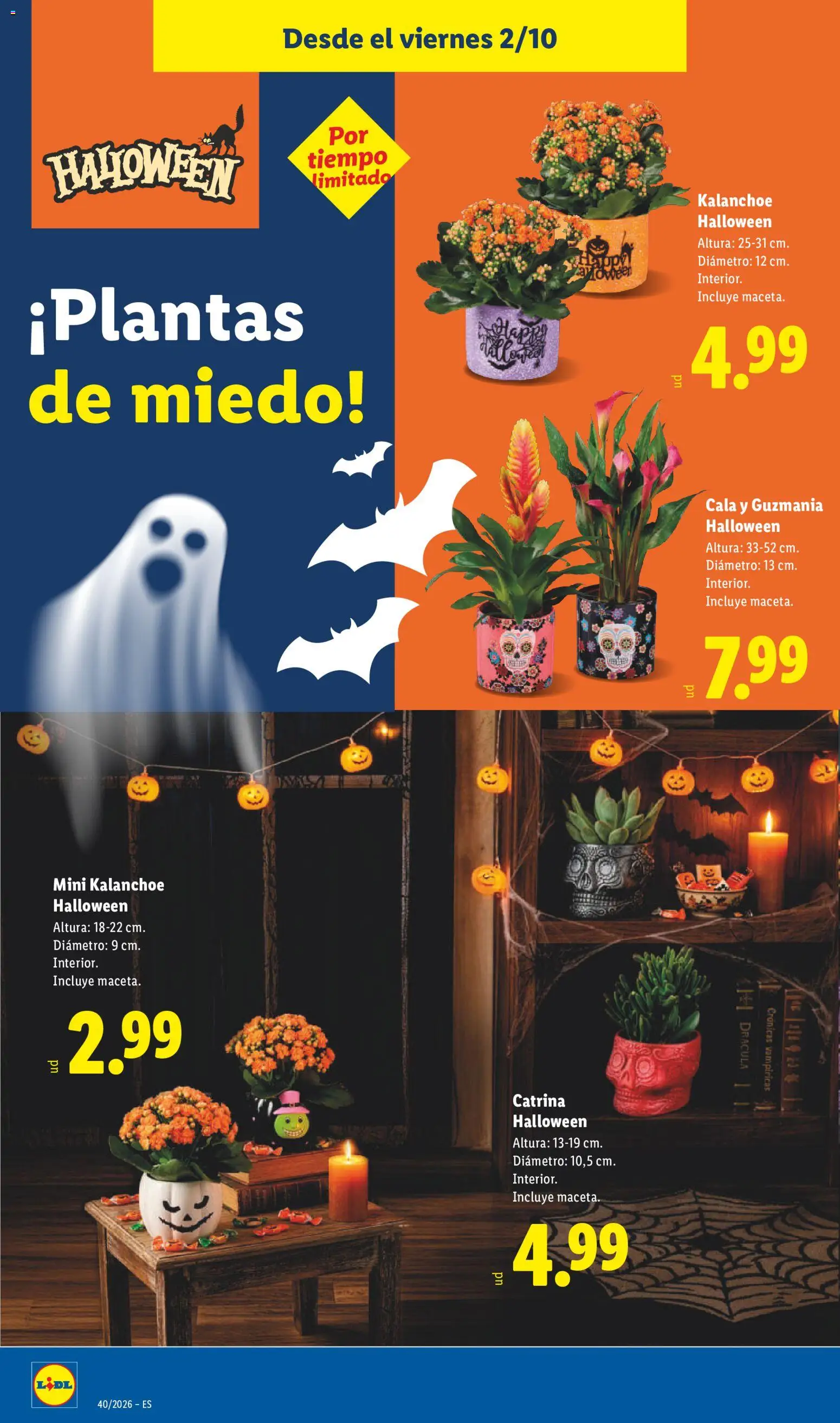 Lidl folleto Halloween │ válido desde el 02/10/2026 | Página: 14