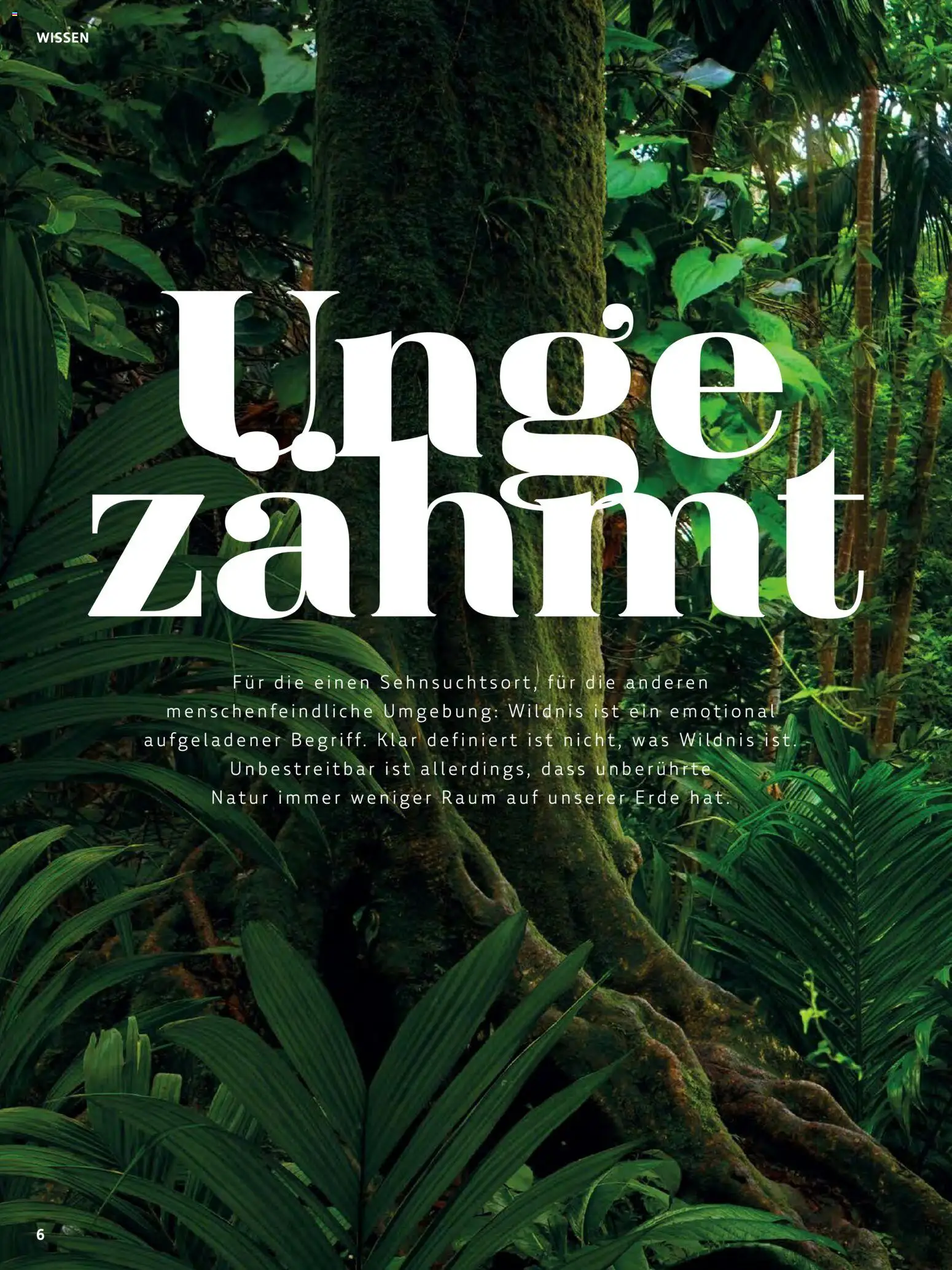 Denns BioMarkt Kreo Magazin – gültig ab 17.07.2026 | Seite: 6