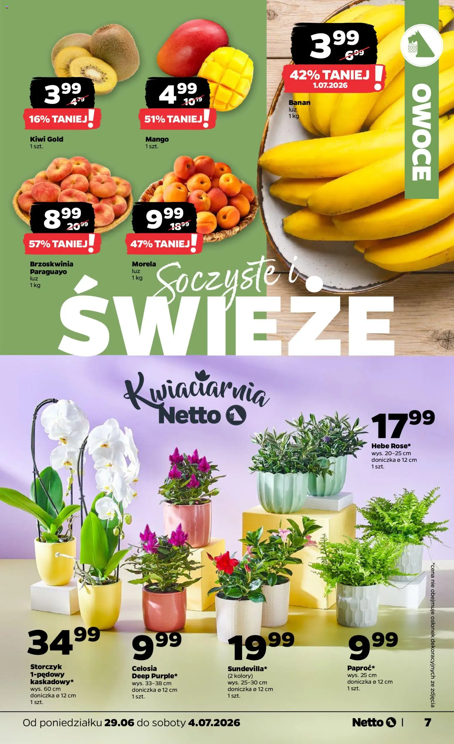 Netto gazetka od poniedziałku spożywcza od 29.06.2026 | Strona: 7 | Produkty: Doniczka, Storczyk, Kiwi, Owoce