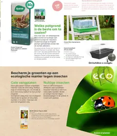 Aveve Tuingids  - Voorbeeld van een folder van Aveve, geldig van 23.02.2026 | Pagina: 13 | Producten: La, Platen, Groenten, Kan