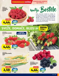 Hofer katalog akcije – veljaven od 01.07.2026 | Stran: 13 | Izdelki: Maline, Jagode