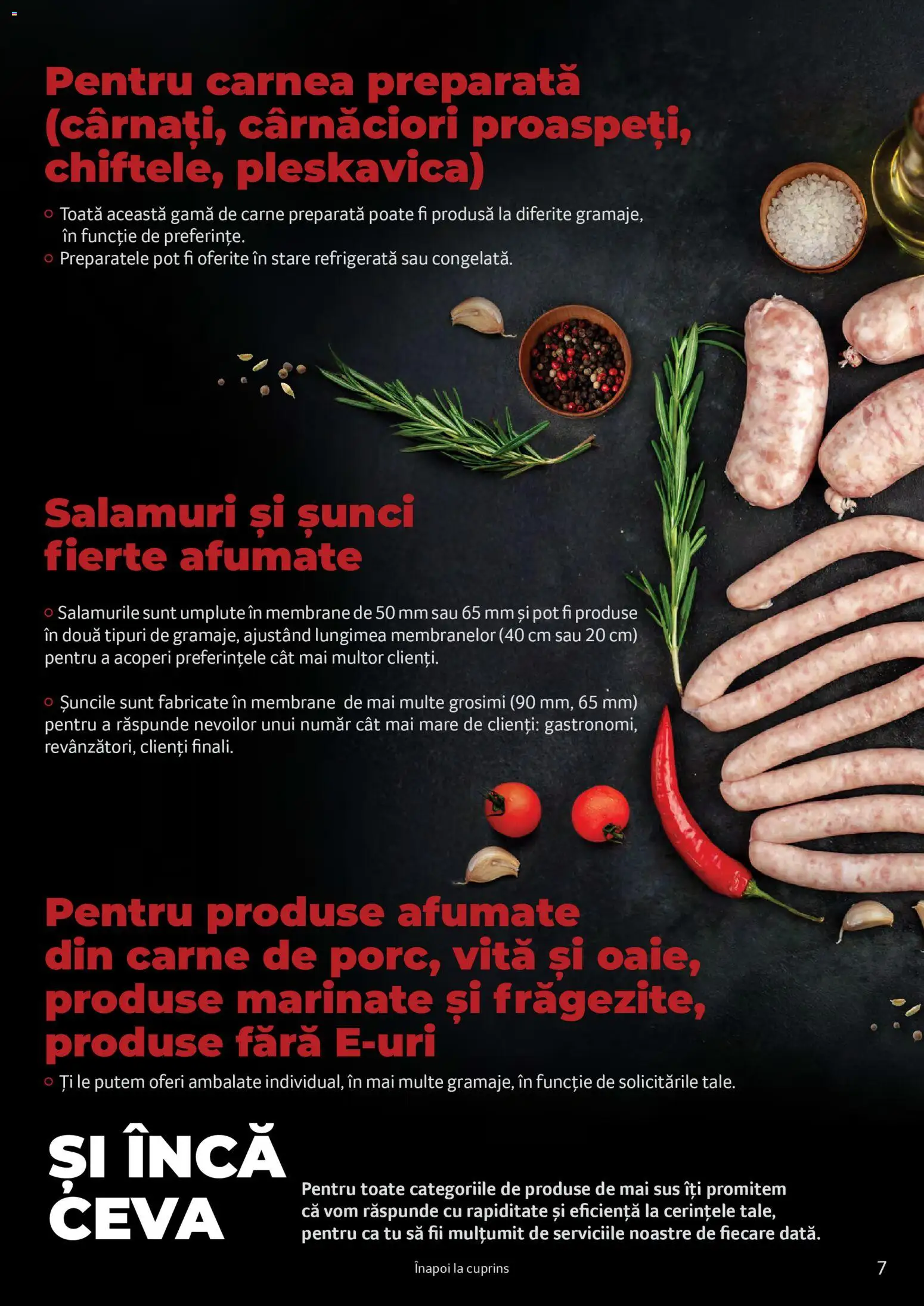 Noul catalog Selgros – valabil de la 25.03.2026 | Pagină: 7