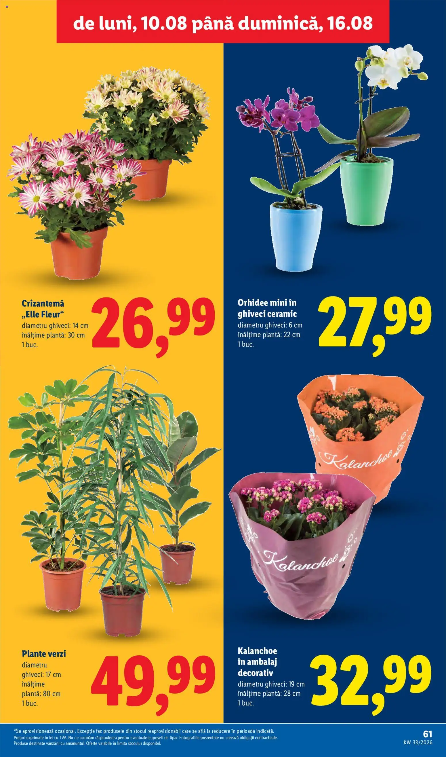 Noul catalog Lidl – valabil de la 10.08.2026 | Pagină: 61