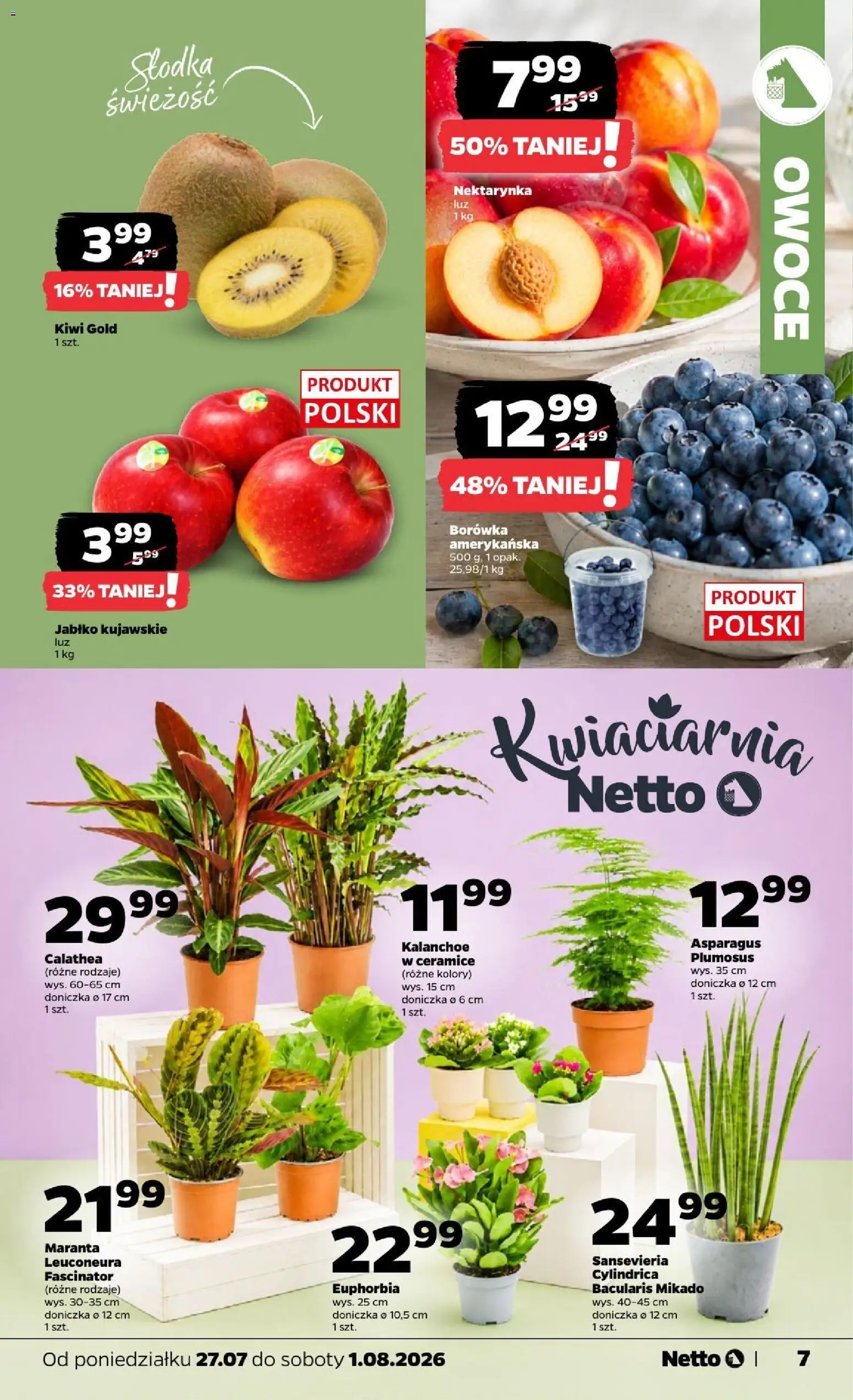 Netto gazetka od poniedziałku od 27.07.2026 | Strona: 7 | Produkty: Nektarynka, Borówka amerykańska, Kalanchoe, Owoce