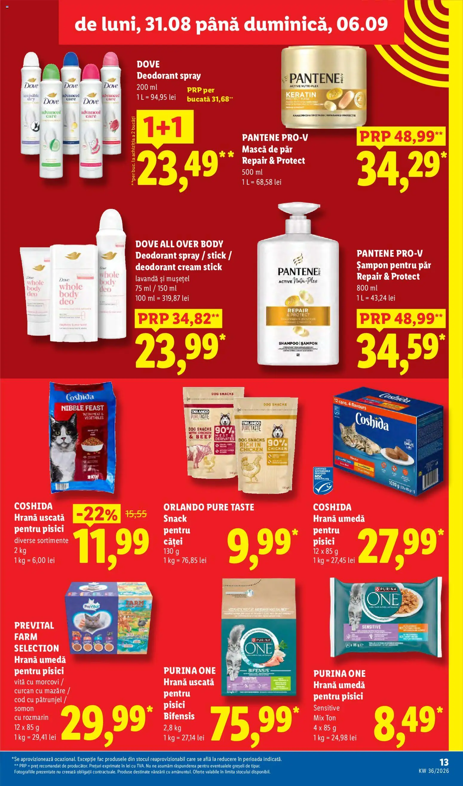 Noul catalog Lidl – valabil de la 31.08.2026 | Pagină: 13