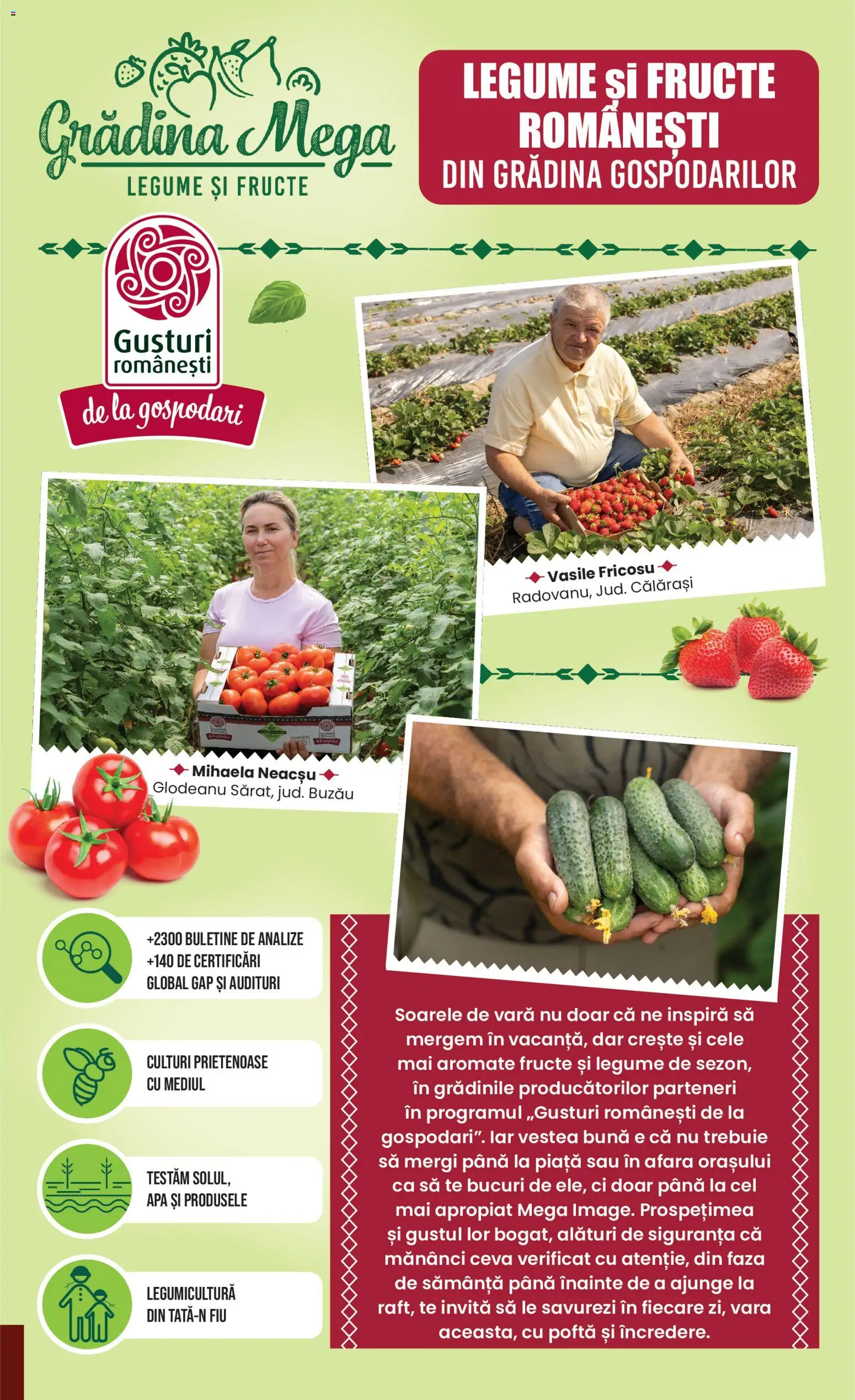 Noul catalog Mega Image – valabil de la 02.07.2026 | Pagină: 7
