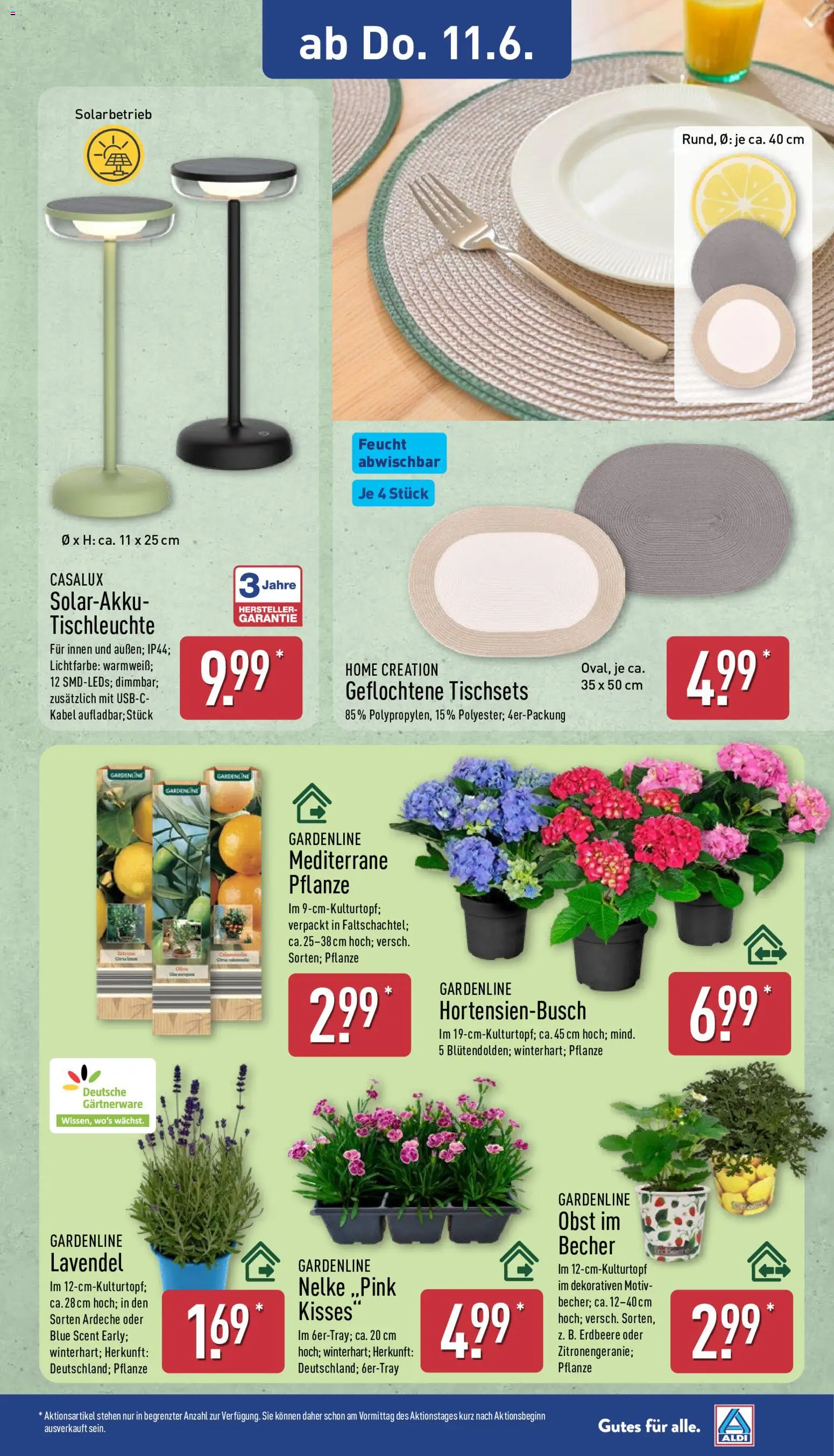 Aldi Ausblick – gültig ab 08.06.2026 | Seite: 15 | Produkte: Kabel, Obst, Lavendel, Home creation