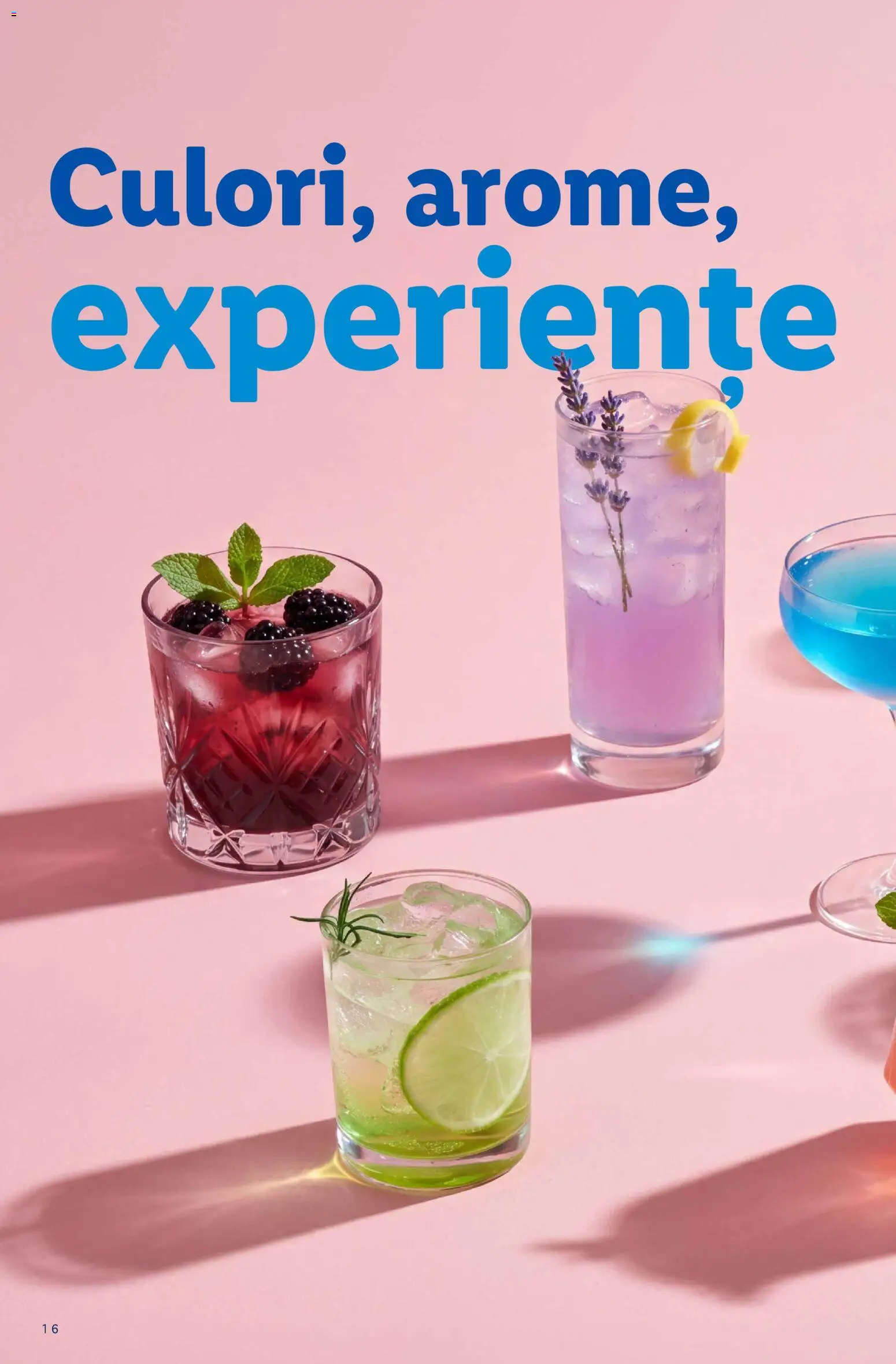 Noul catalog Lidl – valabil de la 13.07.2026 | Pagină: 16