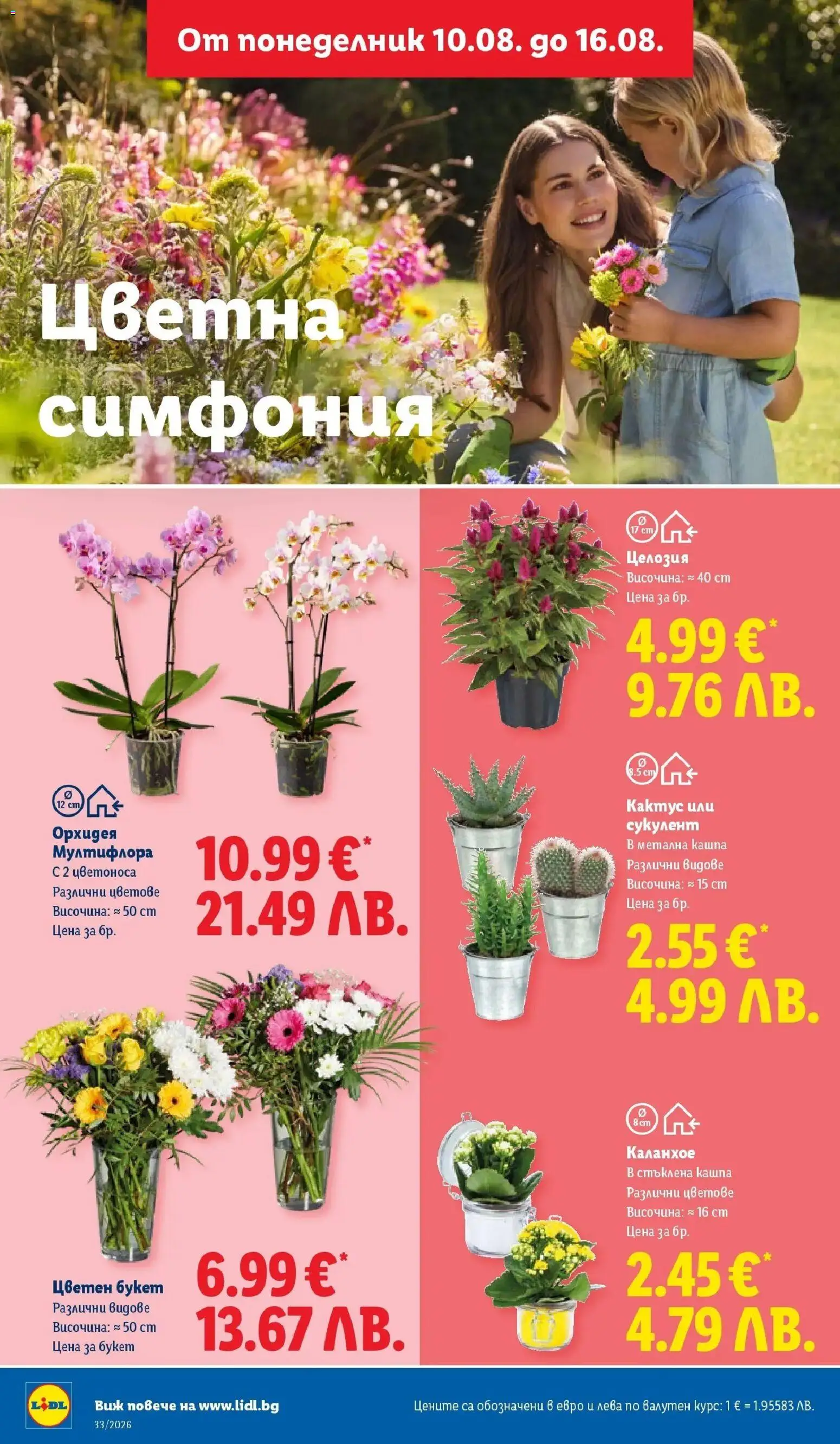 {H1} | Страница: 52 | Продукти: Орхидея