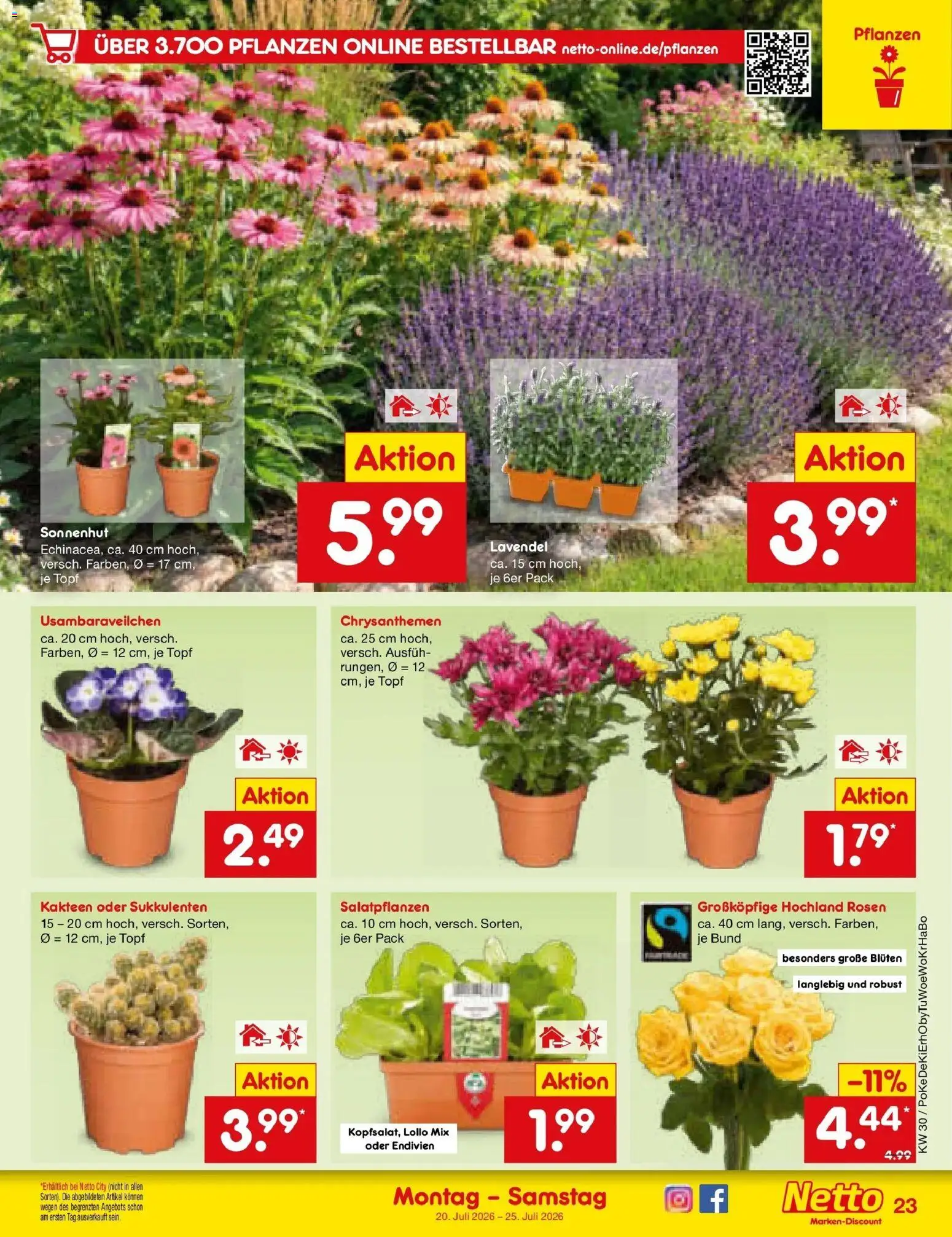 Netto Marken-Discount Prospekt Oberhaid – gültig ab 20.07.2026 | Seite: 39 | Produkte: Lavendel