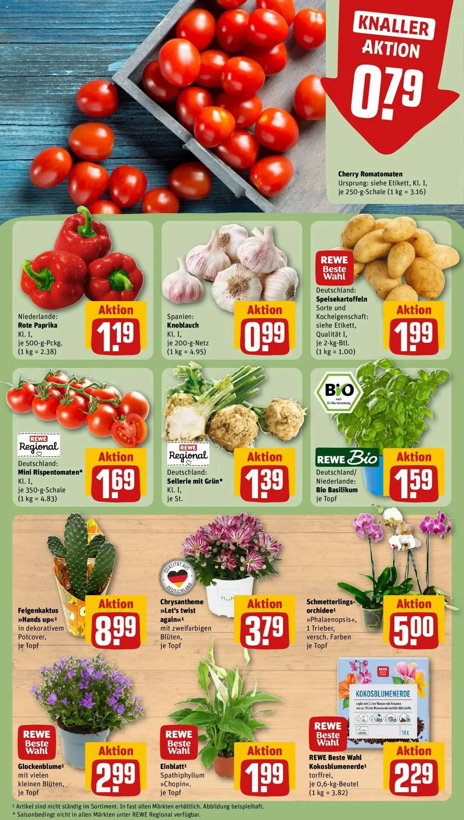 REWE Prospekt ab 10.08.2026 zum Blättern » Angebote | Seite: 5 | Produkte: Blumenerde, Wasser, Paprika, Rote Paprika