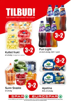 Forhåndsvisning av CEVITA ANANAS, CEVITA ANANAS 400g gyldig fra 22/06/2026 | Side: 19 | Produkter: Tomater, Gulrot, Vannmelon, Solbær