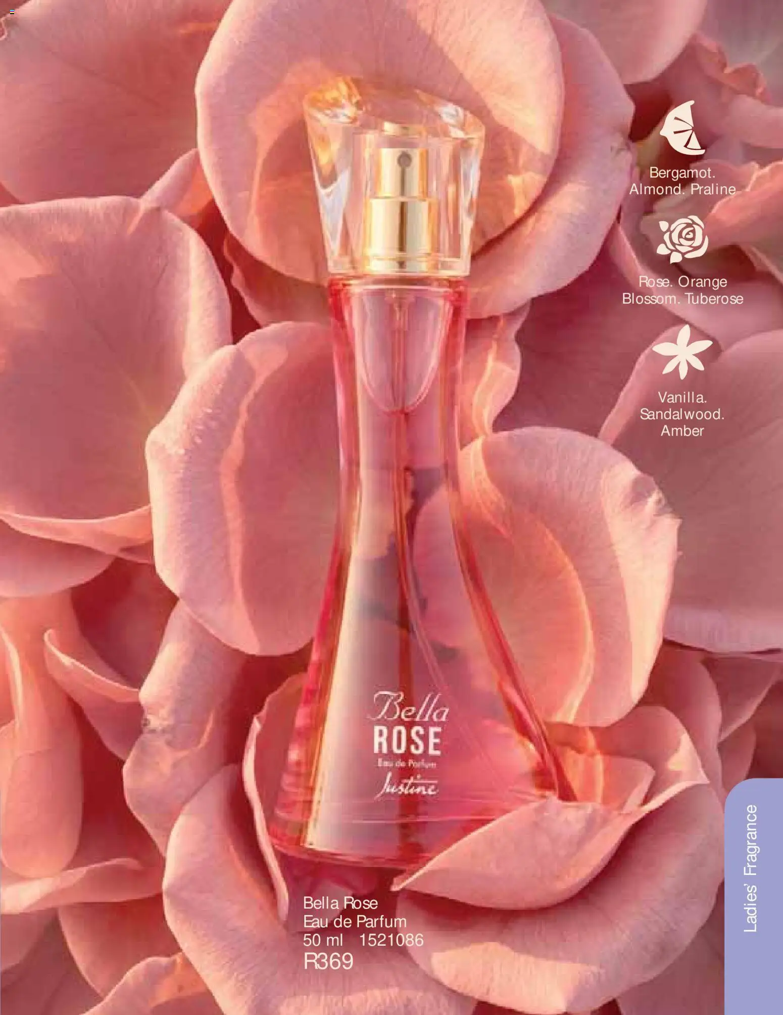 New Justine catalogue – valid from 01/09/2026 | Page: 61