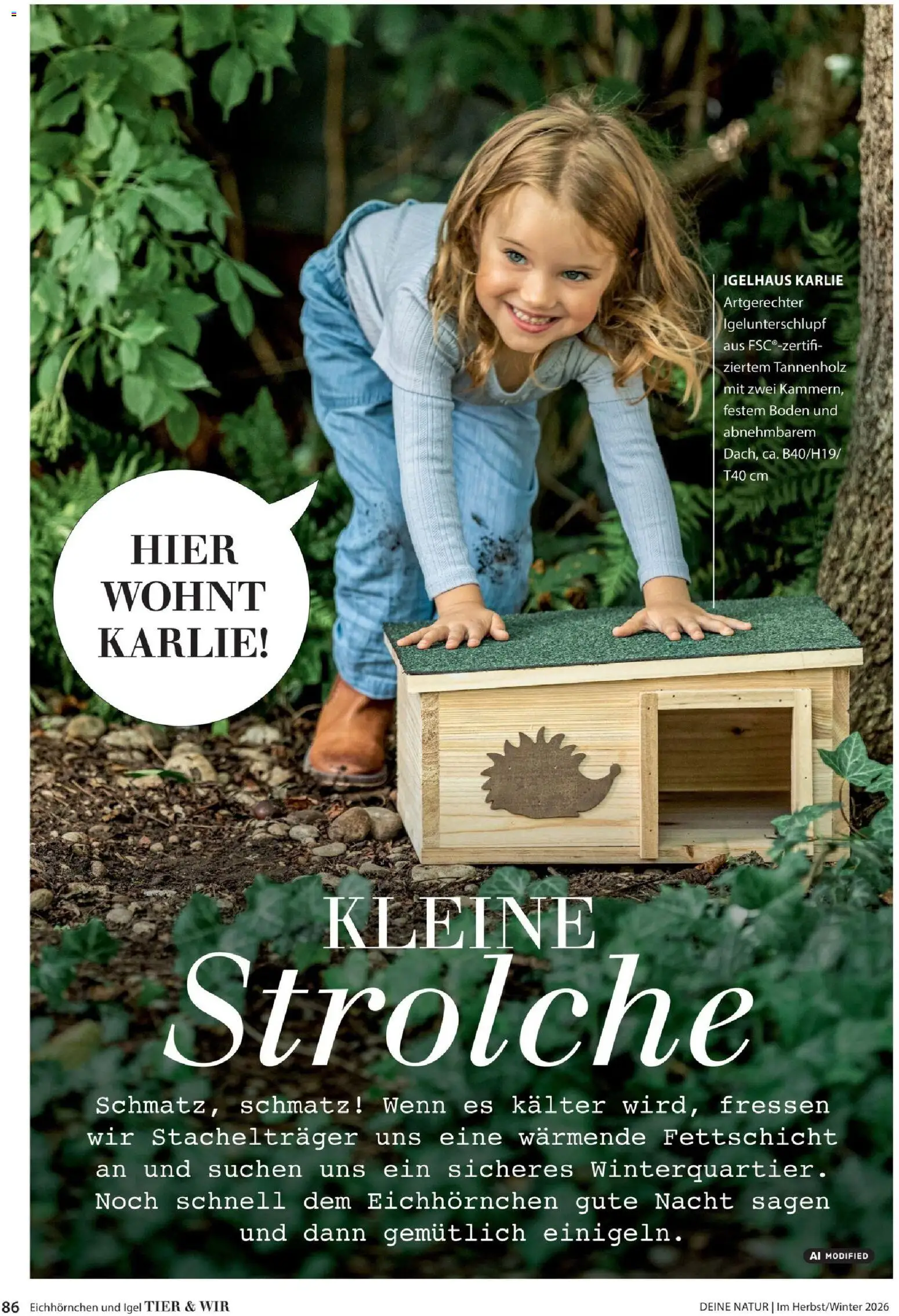 Dehner Prospekt – gültig ab 09.10.2026 | Seite: 86
