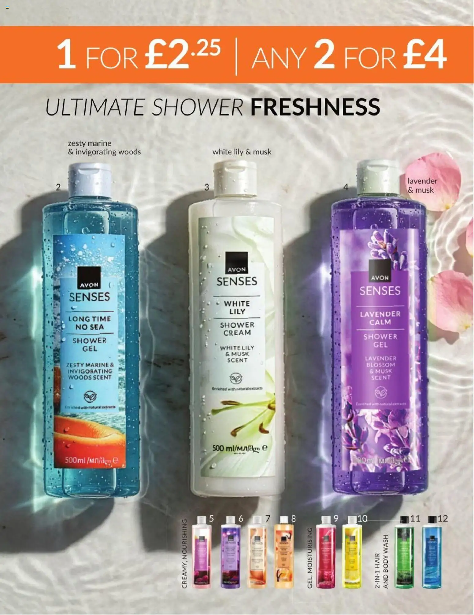 {H1} | Page: 187 | Products: Shower, Lavender, Cream