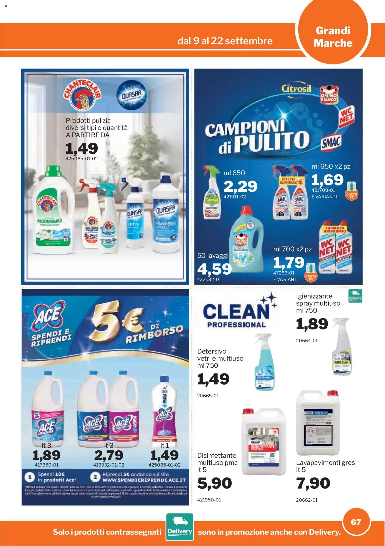 Volantino Sogegross del 09/09/2026 | Pagina: 67 | Prodotti: Tè