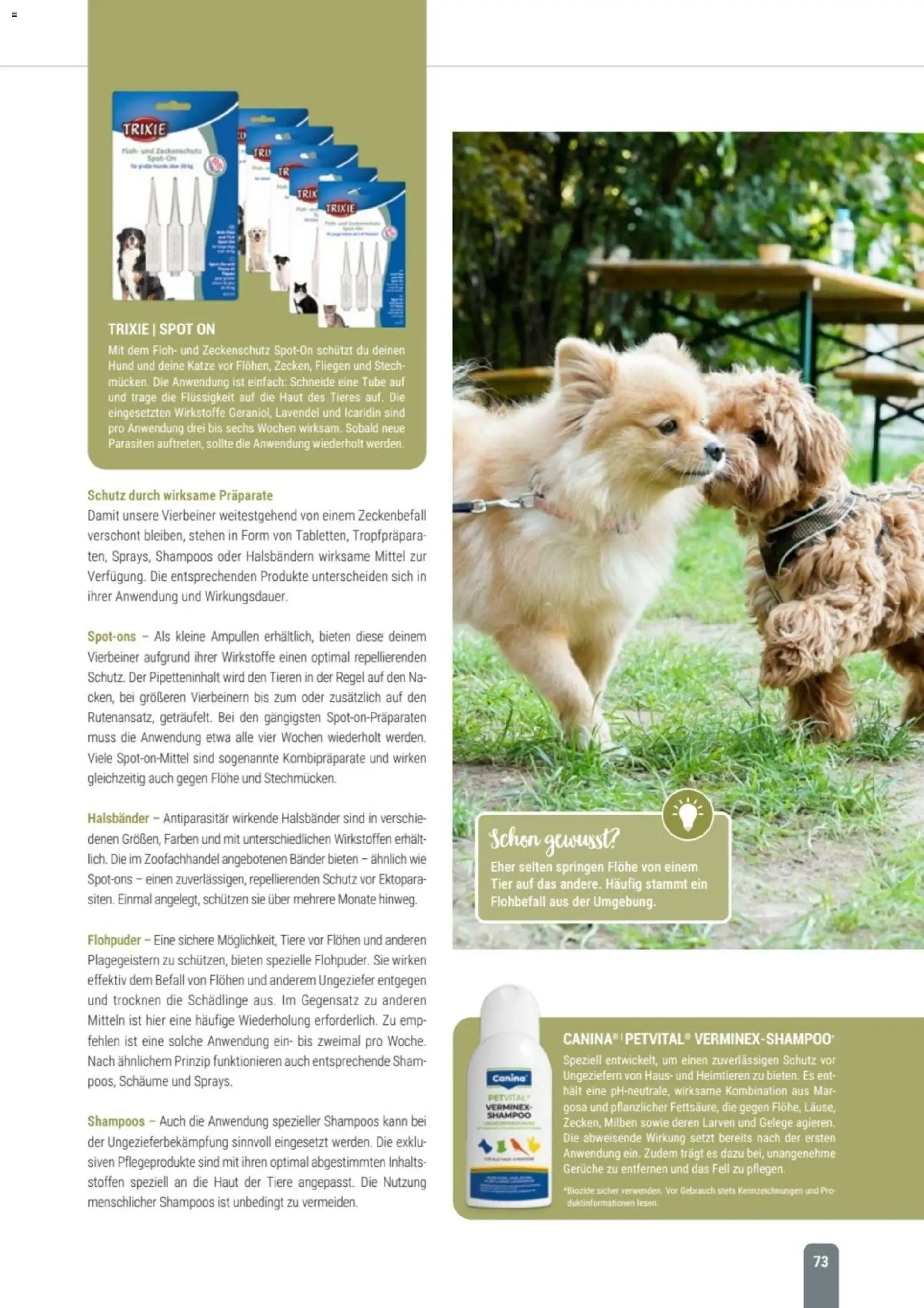 zookauf Themenkatalog Hund – gültig ab 18.05.2026 | Seite: 73 | Produkte: Shampoo, Lavendel