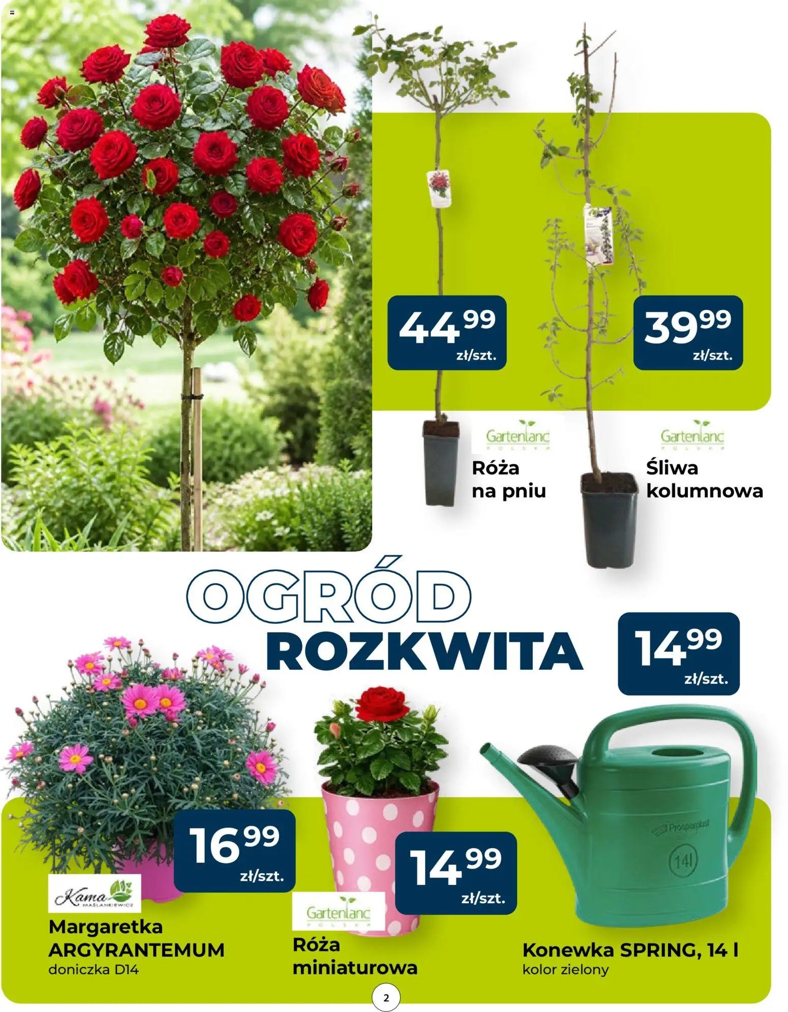 Mrówka gazetka od 14.05.2026 | Strona: 2