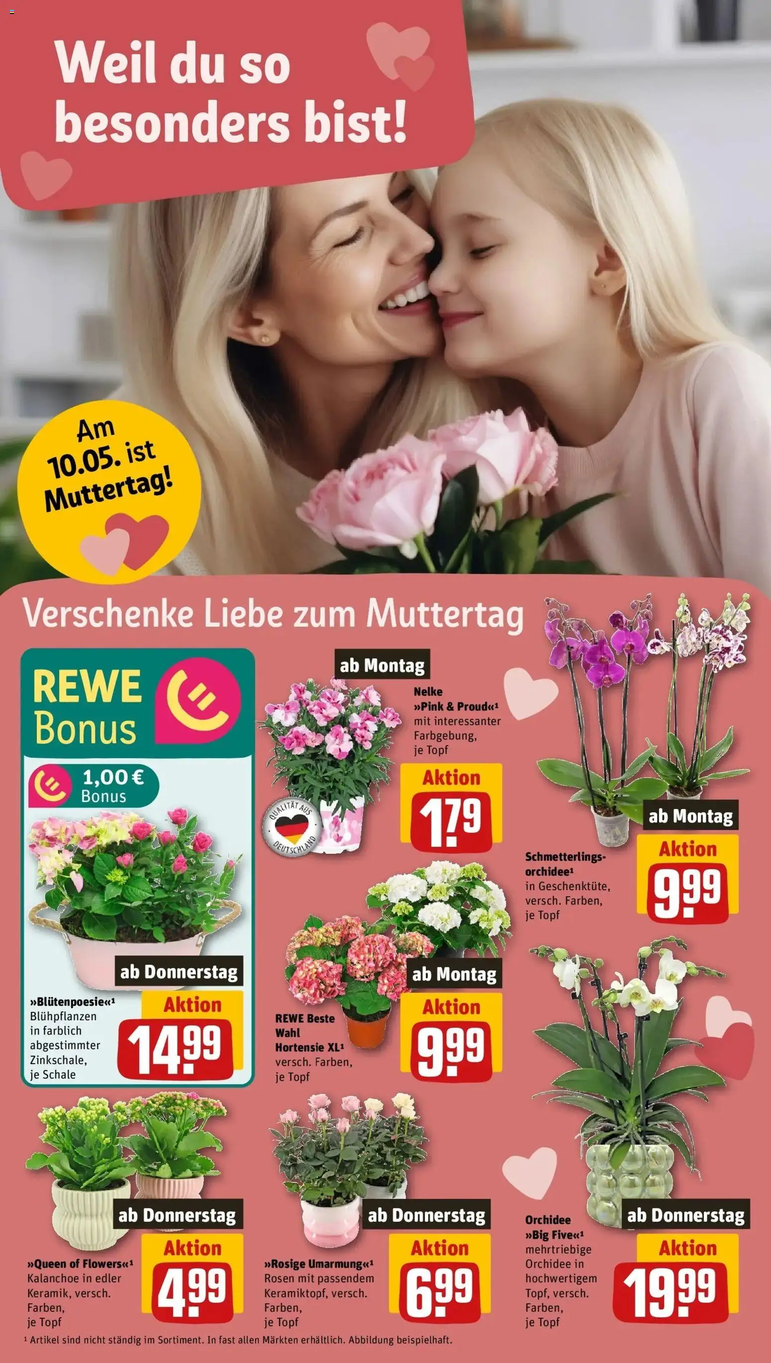 REWE Prospekt ab 04.05.2026 zum Blättern » Angebote | Seite: 8 | Produkte: Hortensie, Orchidee