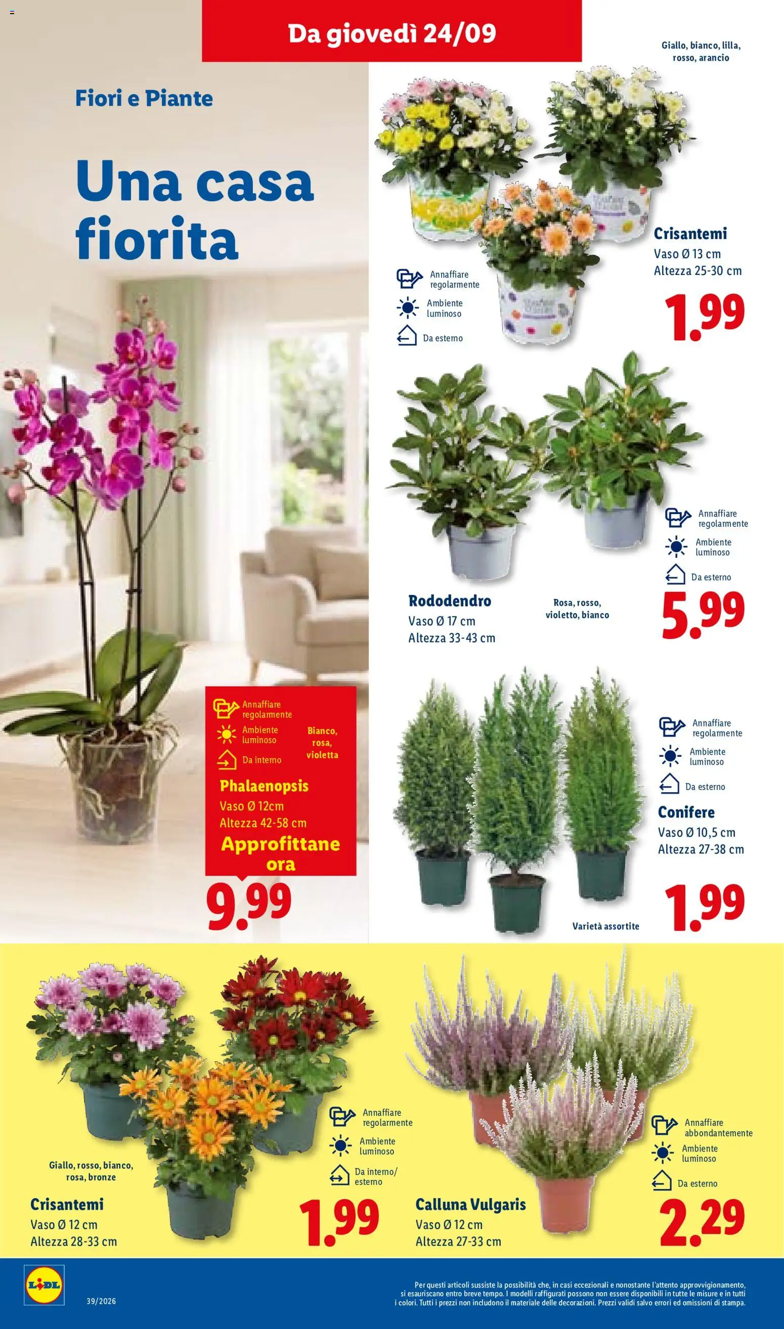 Volantino Lidl del 24/09/2026 | Pagina: 42