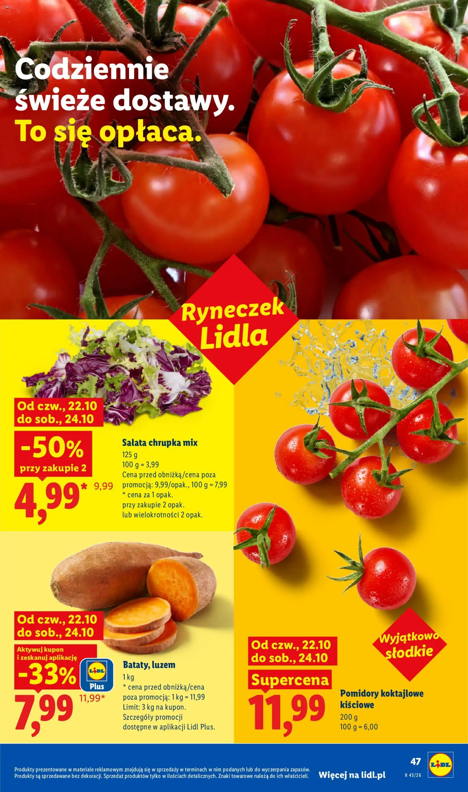 Lidl Polsko katalog od 22.10.2026 | Strana: 49