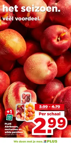 Plus folder week 22 - Voorbeeld van een folder van Plus, geldig van 27.05.2026 | Pagina: 5 | Producten: Nectarines, Schaal, Perziken
