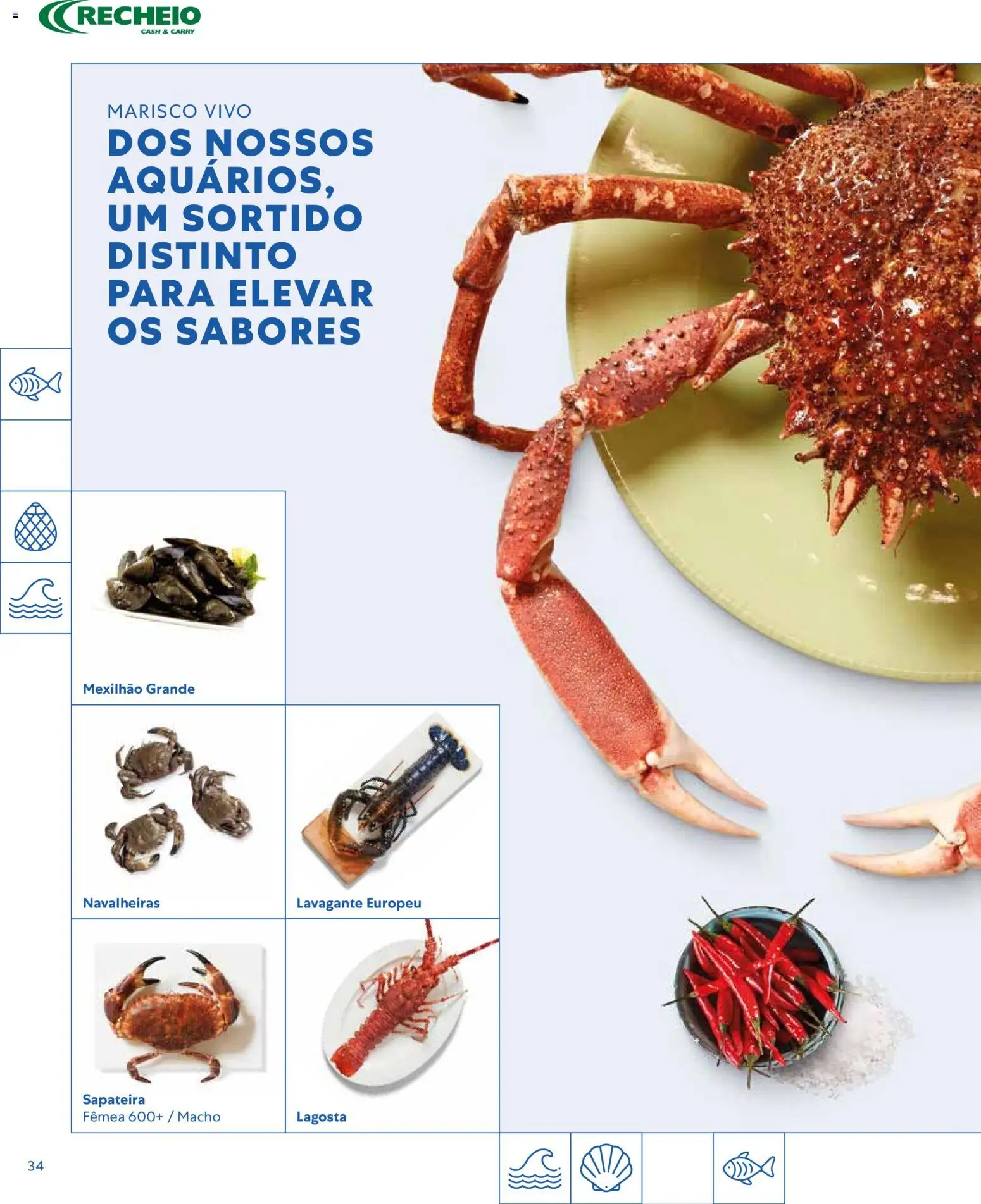 Recheio - Catálogo de Alfragide │ válido de 16/03/2026 | Página: 34 | Produtos: Lagosta, Sapateira