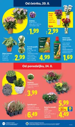 Lidl katalog akcije – veljaven od 20.08.2026 | Stran: 25