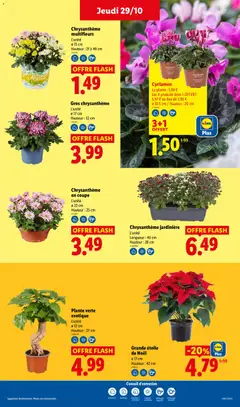 LIDL - Prévisualisation de LIDL catalogue valide à partir de 29/10/2026 | Page: 33