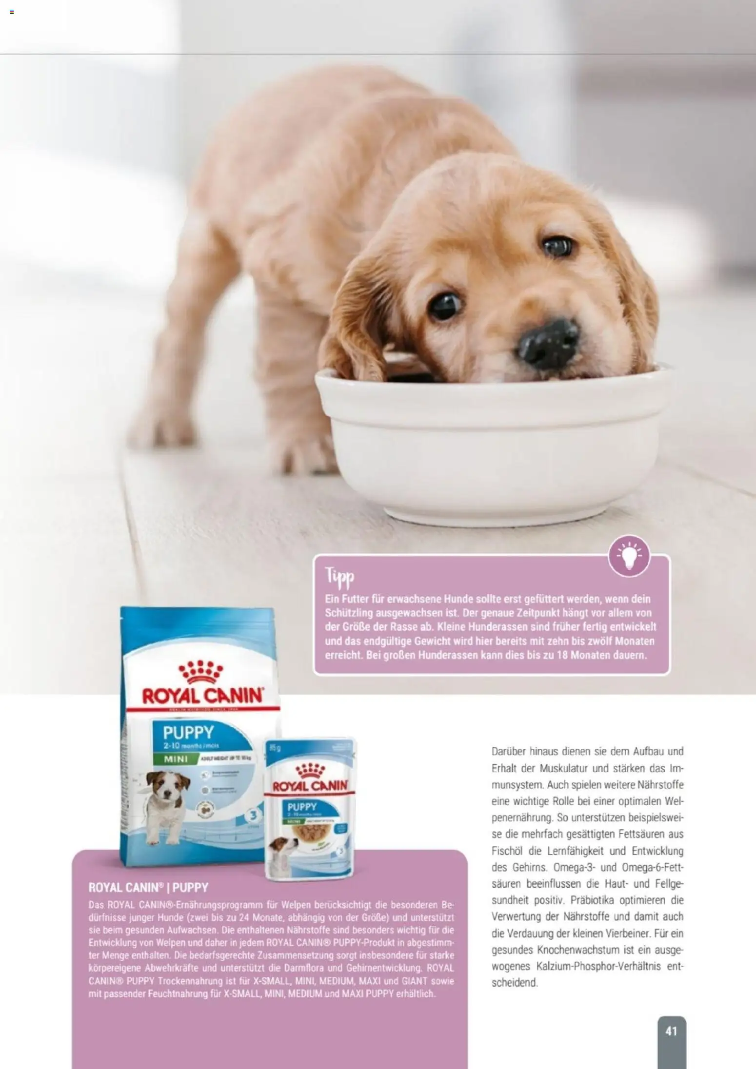 zookauf Themenkatalog Hund – gültig ab 18.05.2026 | Seite: 41 | Produkte: Gewicht