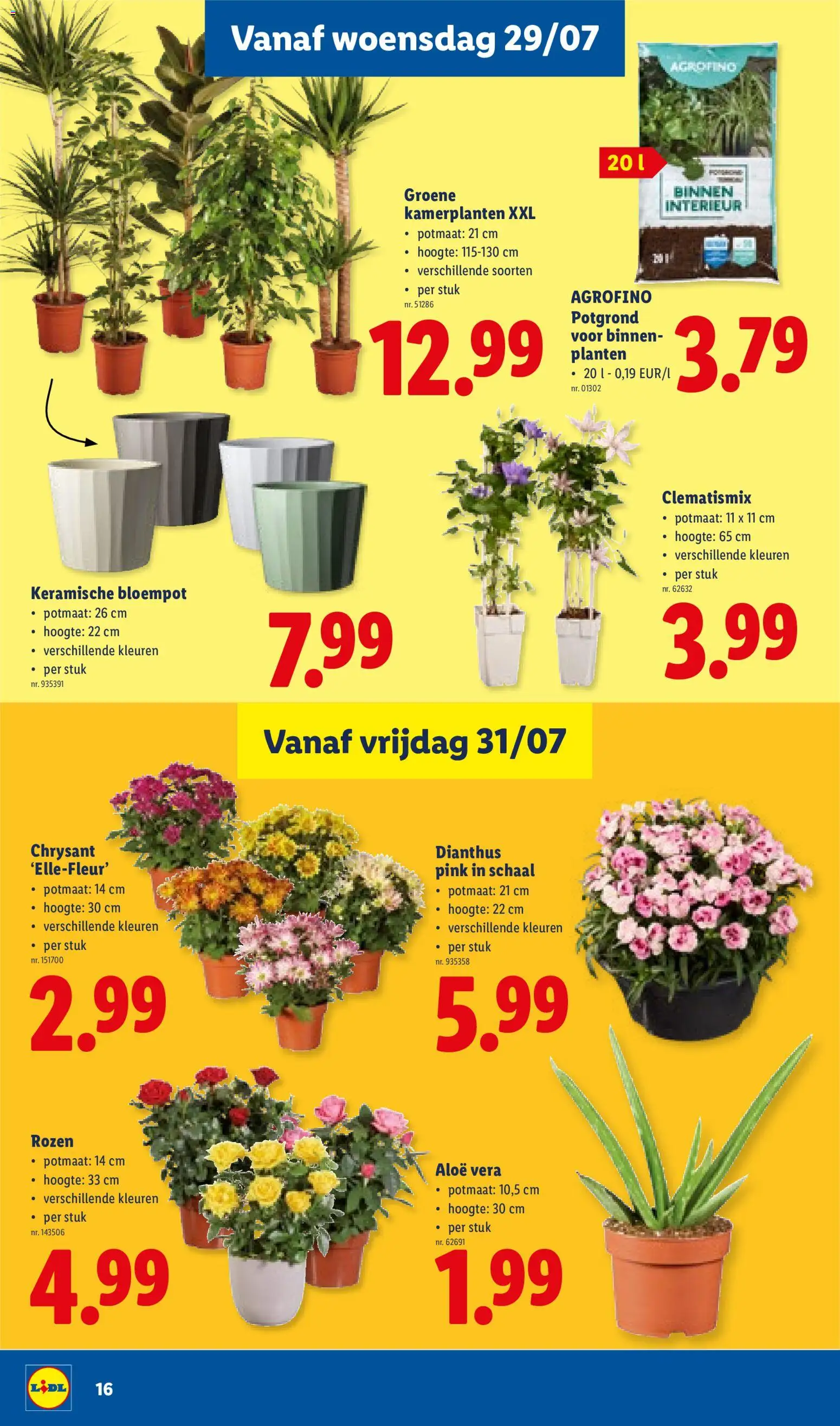 Lidl Folder week 31 (27/07/2026 t/m 01/08/2026) — page 15