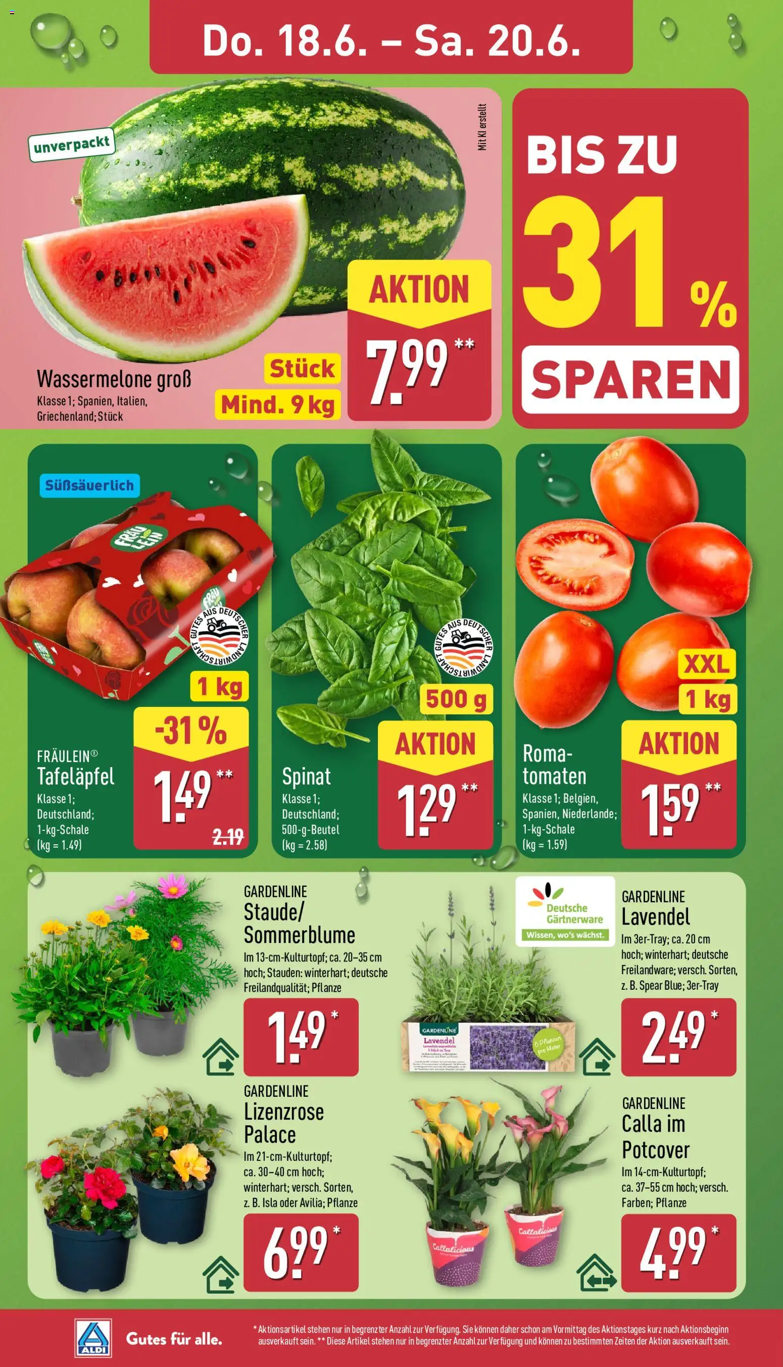 Aldi Prospekt – gültig ab 15.06.2026 | Seite: 30 | Produkte: Tomaten, Wassermelone, Lavendel