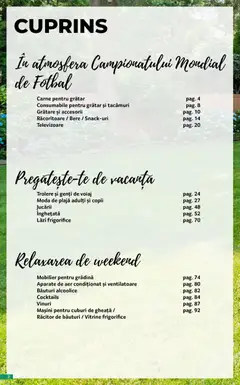 Ofertele Selgros valabile de la 29.05.2026 | Pagină: 2 | Produse: Aer Condiționat, Grătar, Bere, Înghețată