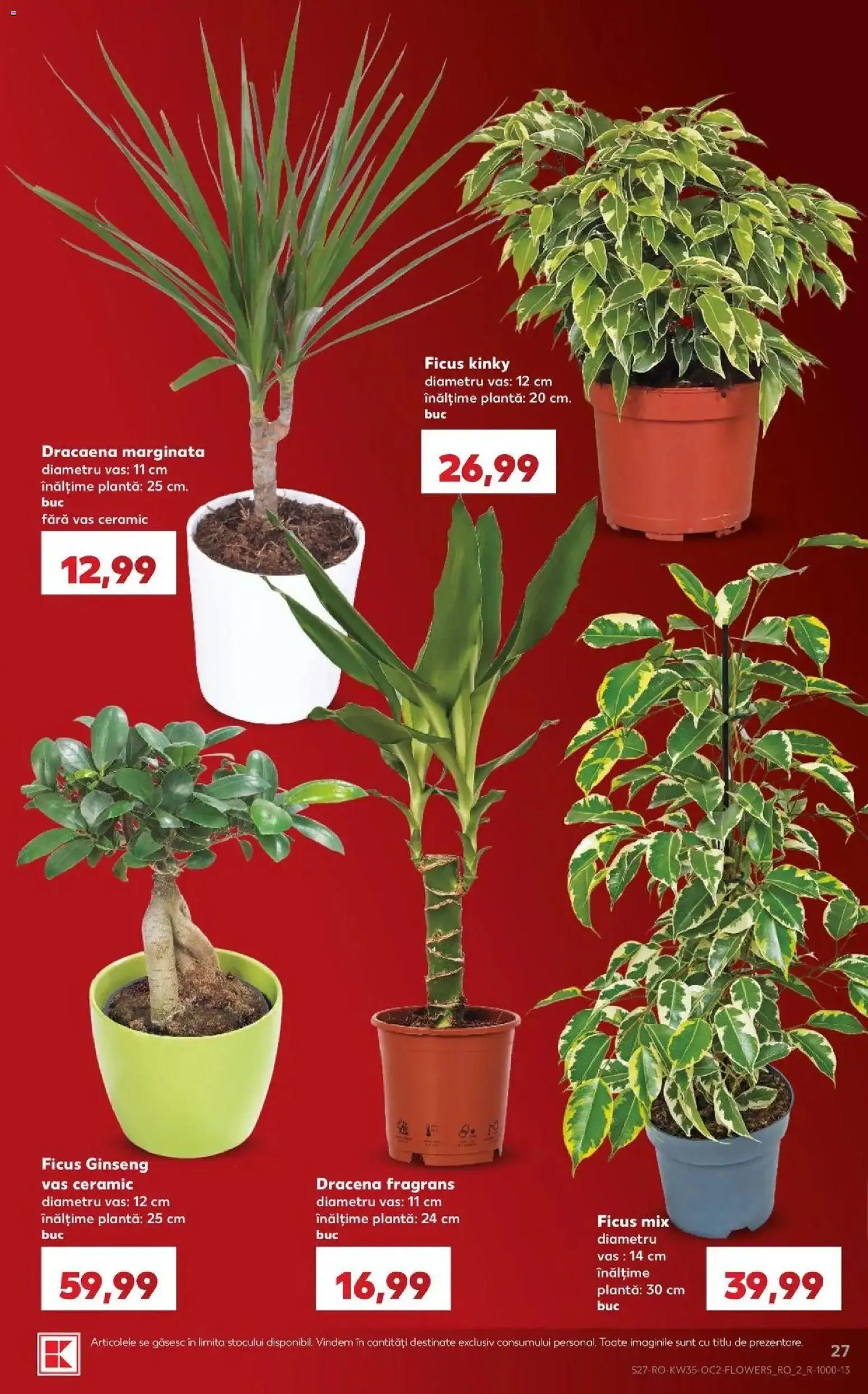 Kaufland Arad 26.08.2026 - Revista si Oferta | Pagină: 27