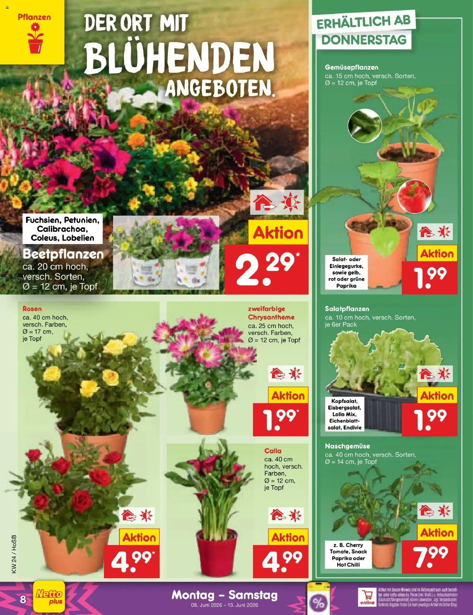 Netto Marken-Discount Prospekt Hannover – gültig ab 08.06.2026 | Seite: 12 | Produkte: Paprika, Salat