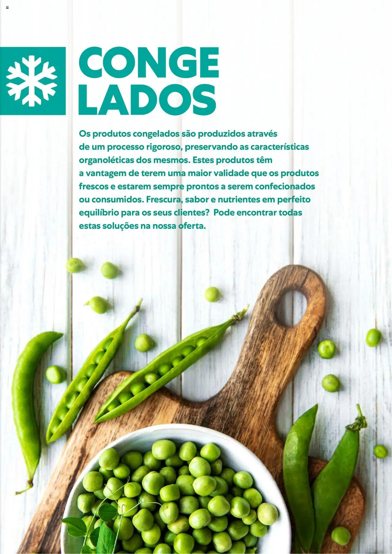 Recheio Alimentacao variada │ válido de 01/02/2024 | Página: 17