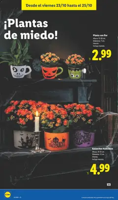 Vista previa Lidl folleto válido desde el 19/10/2026 | Página: 54 | Productos: Maceta