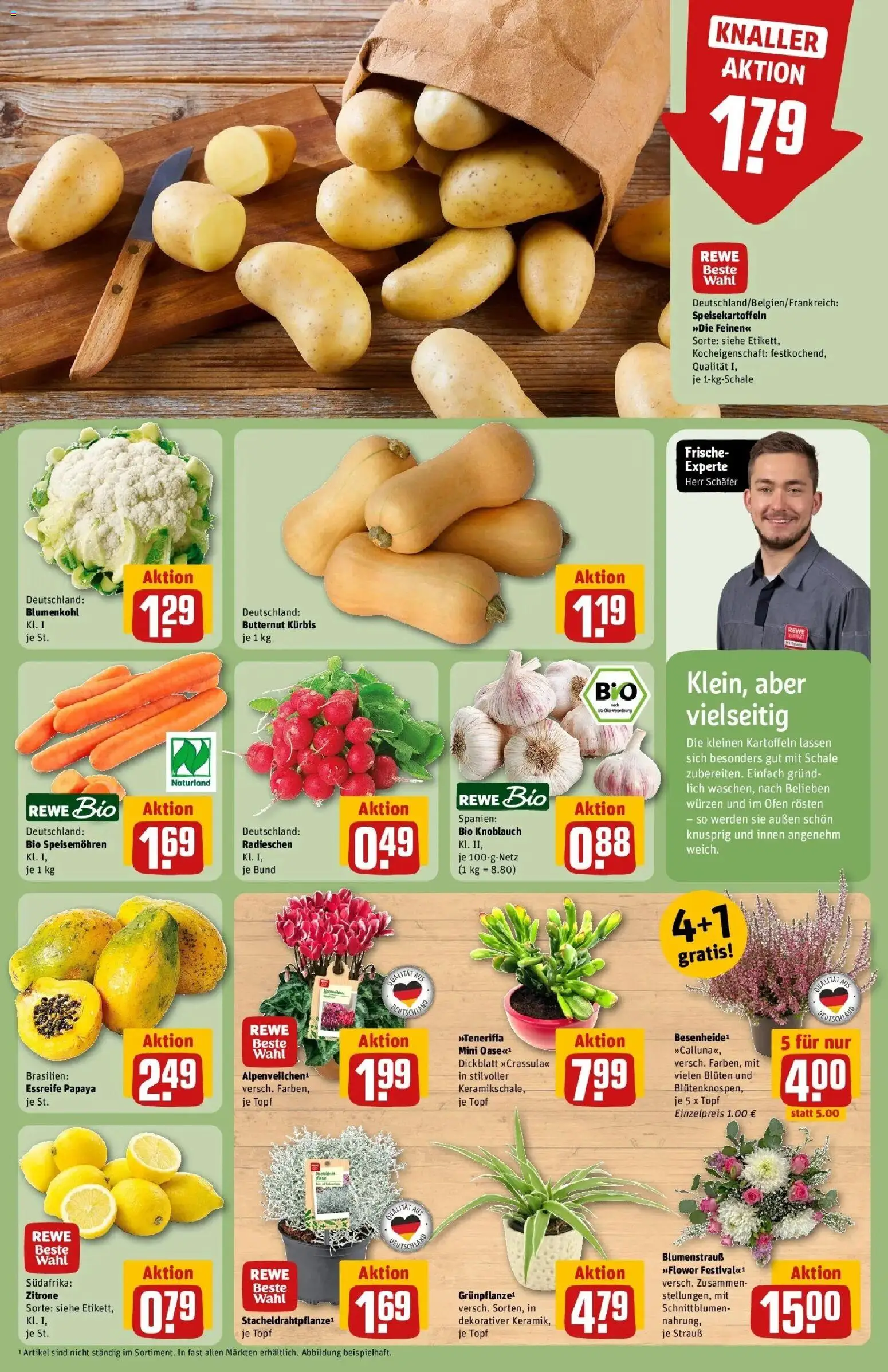 REWE Prospekt ab 05.10.2026 zum Blättern » Angebote | Seite: 9 | Produkte: Ofen, Kartoffeln, Zitrone, Blumenkohl