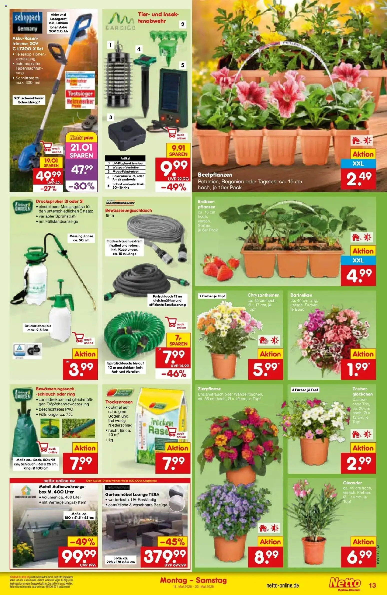Netto Marken-Discount Prospekt Thierhaupten	 – gültig ab 17.05.2026 | Seite: 13