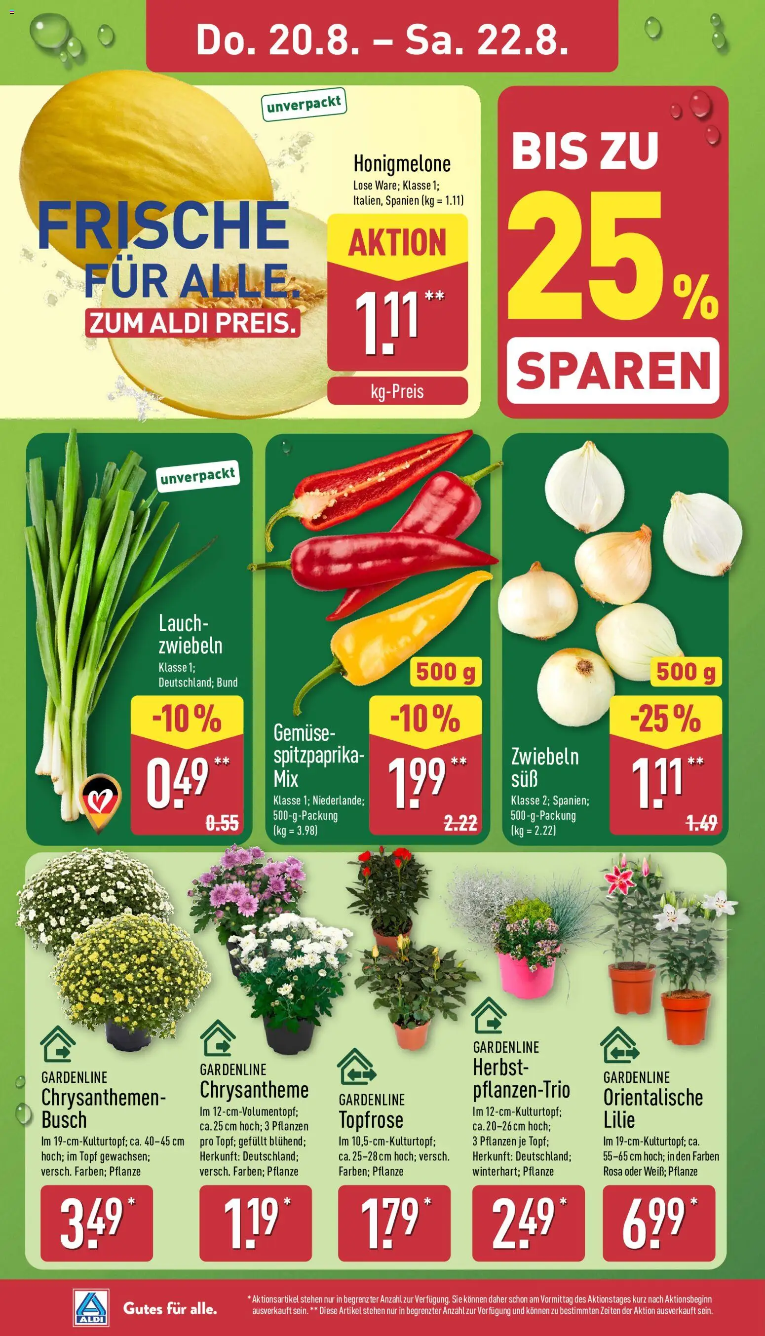 Aldi Prospekt – gültig ab 17.08.2026 | Seite: 26