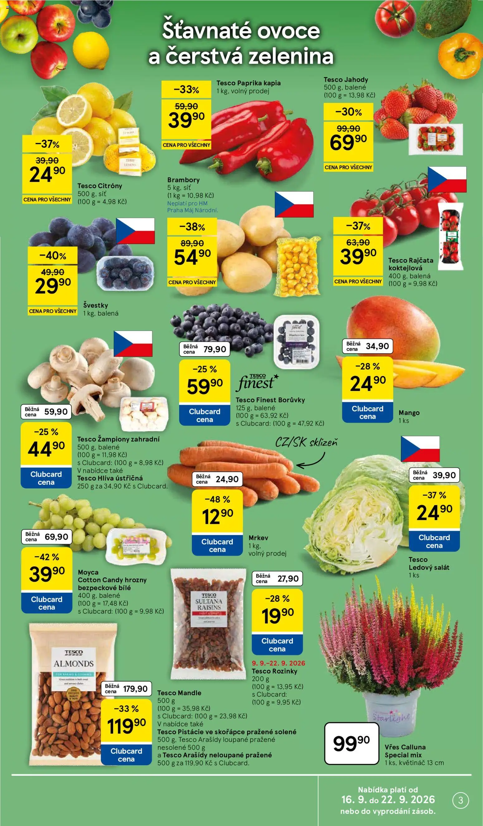Tesco leták - Hypermarket od 16.09.2026 | Strana: 3