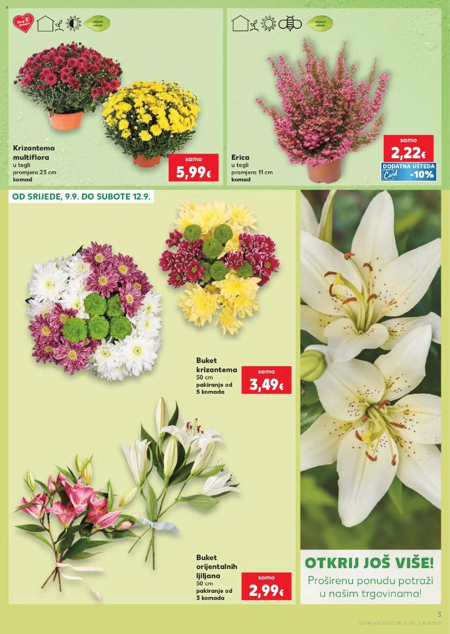 Kaufland katalog | vrijedi od 09.09.2026 | Stranica: 3 | Proizvodi: Buket