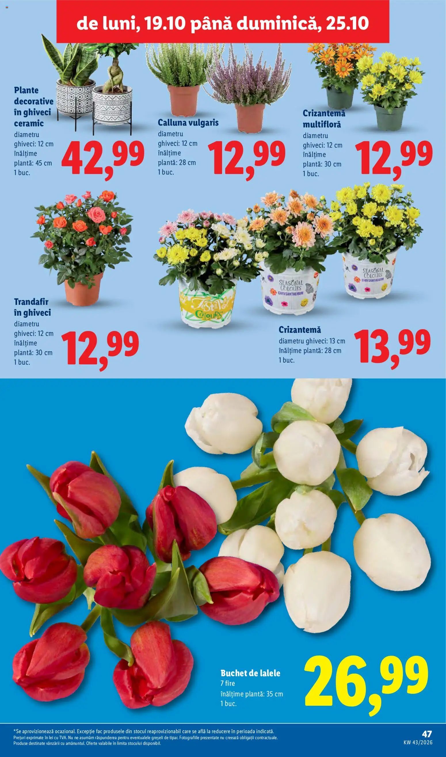 Noul catalog Lidl – valabil de la 19.10.2026 | Pagină: 47