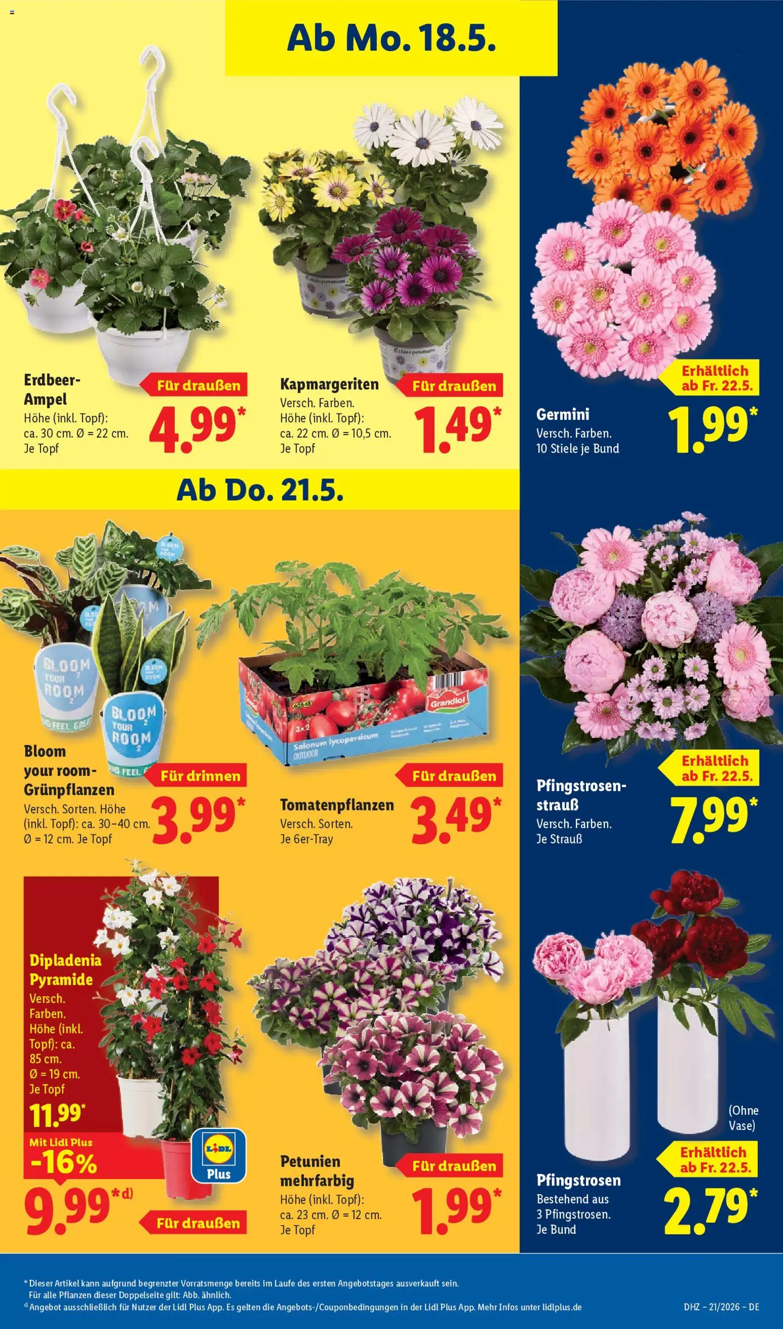 Lidl Německo leták od 18.05.2026 | Strana: 71