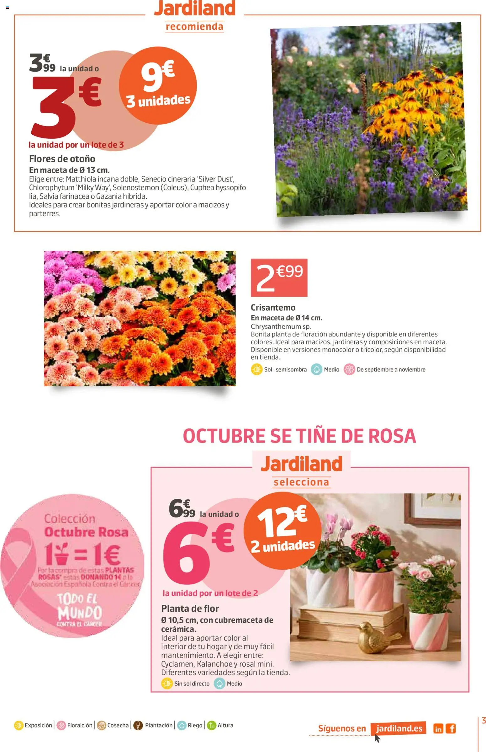 Jardiland folleto │ válido desde el 01/10/2026 | Página: 3 | Productos: Flores, Maceta