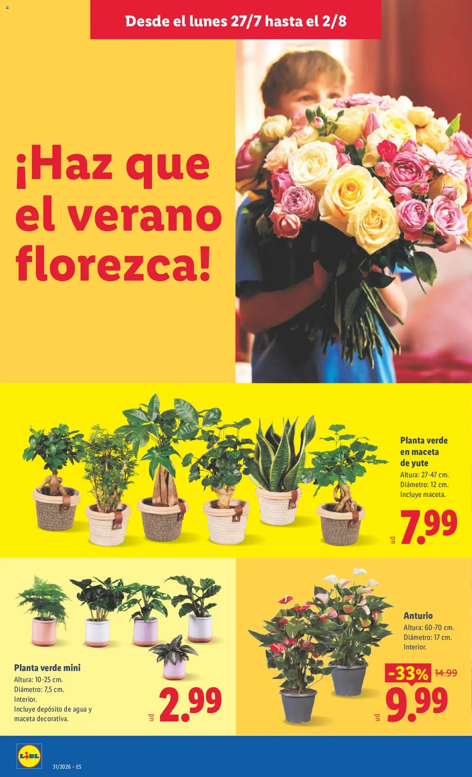 Lidl folleto │ válido desde el 27/07/2026 | Página: 42 | Productos: Maceta