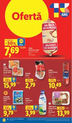 Ofertele Lidl valabile de la 15.06.2026 | Pagină: 8