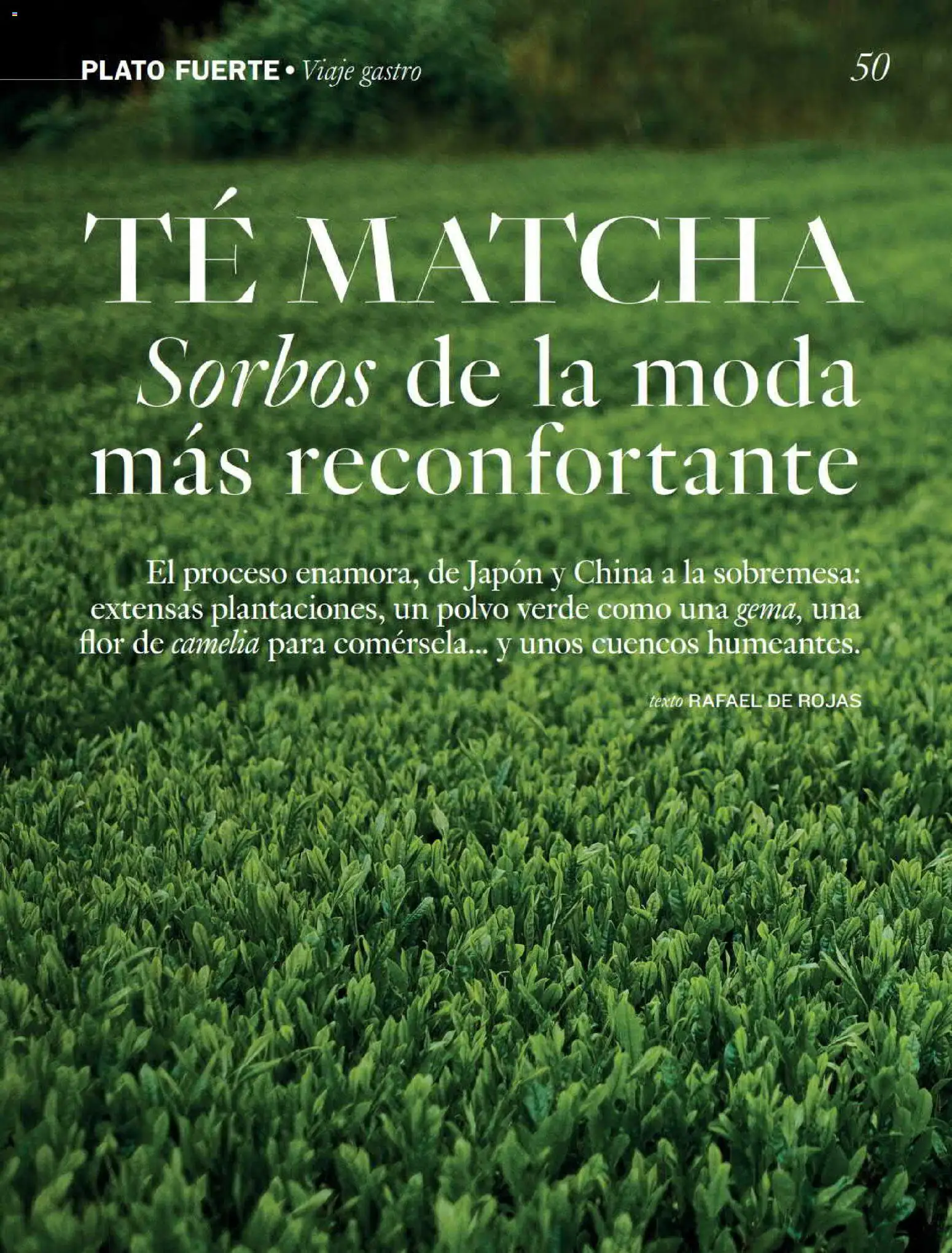 El Corte Inglés Gourmet Magazine │ válido desde el 01/10/2026 | Página: 50 | Productos: Polvo, Té, Matcha