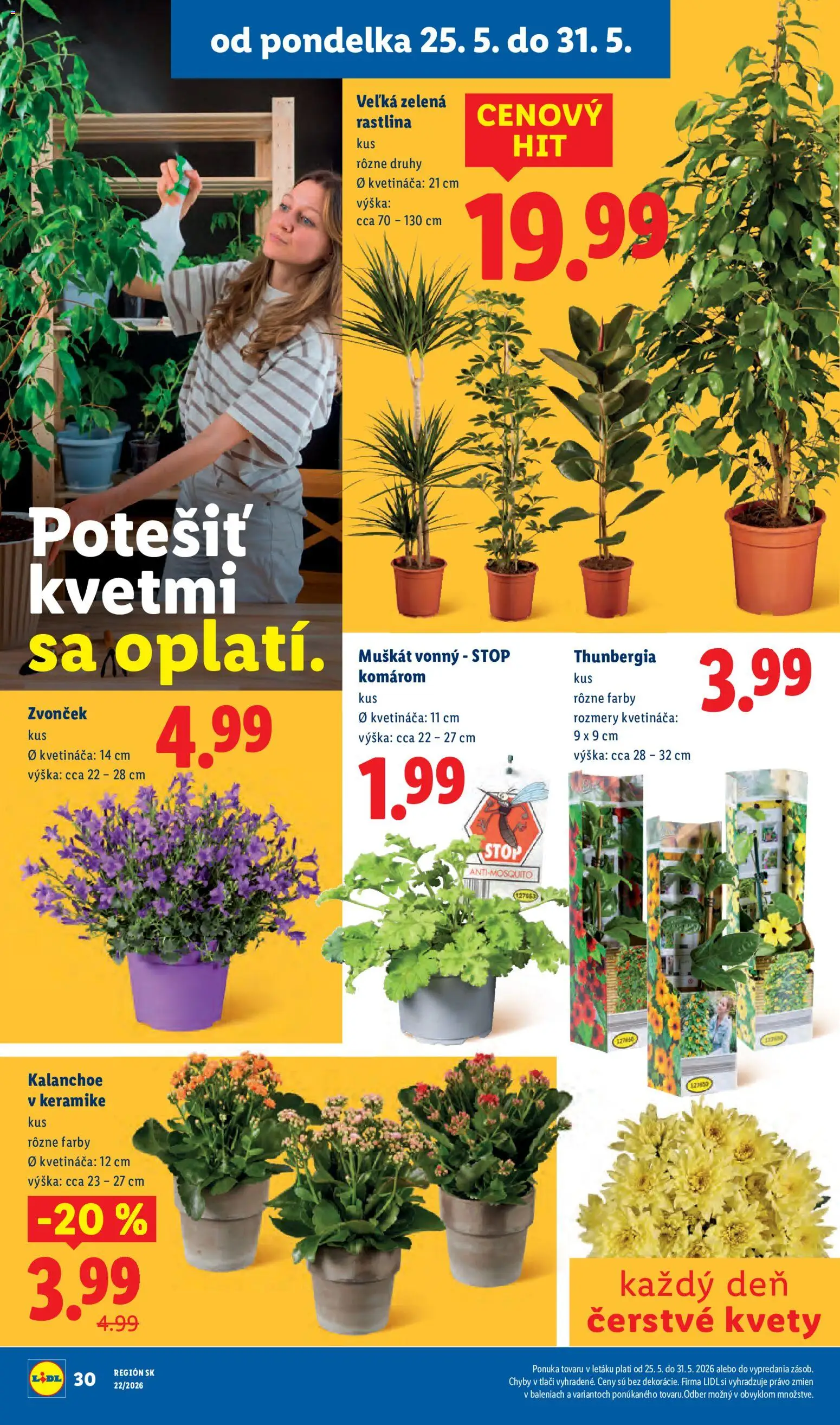 Nové Lidl akcie – leták je platný od 25.05.2026 | Strana: 48