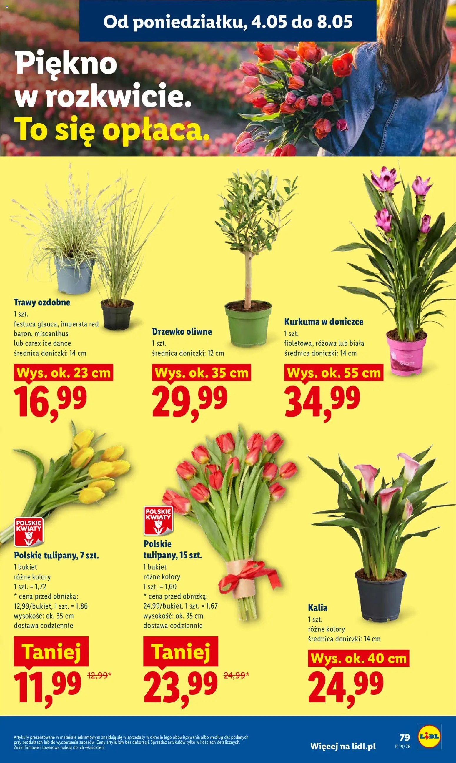 Lidl Polsko leták od 04.05.2026 | Strana: 85 | Produkty: Kurkuma